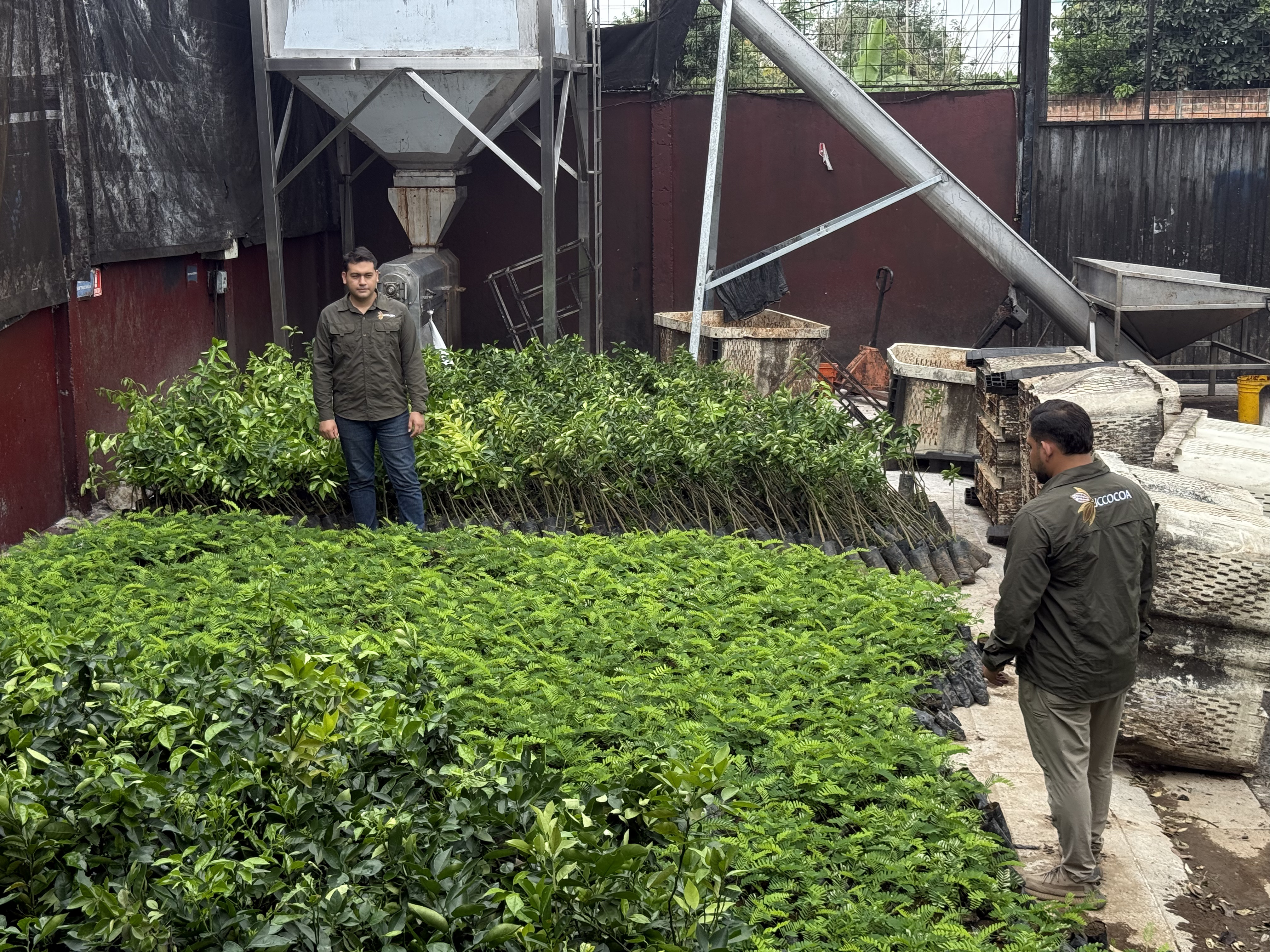 Certificación Rainforest Alliance