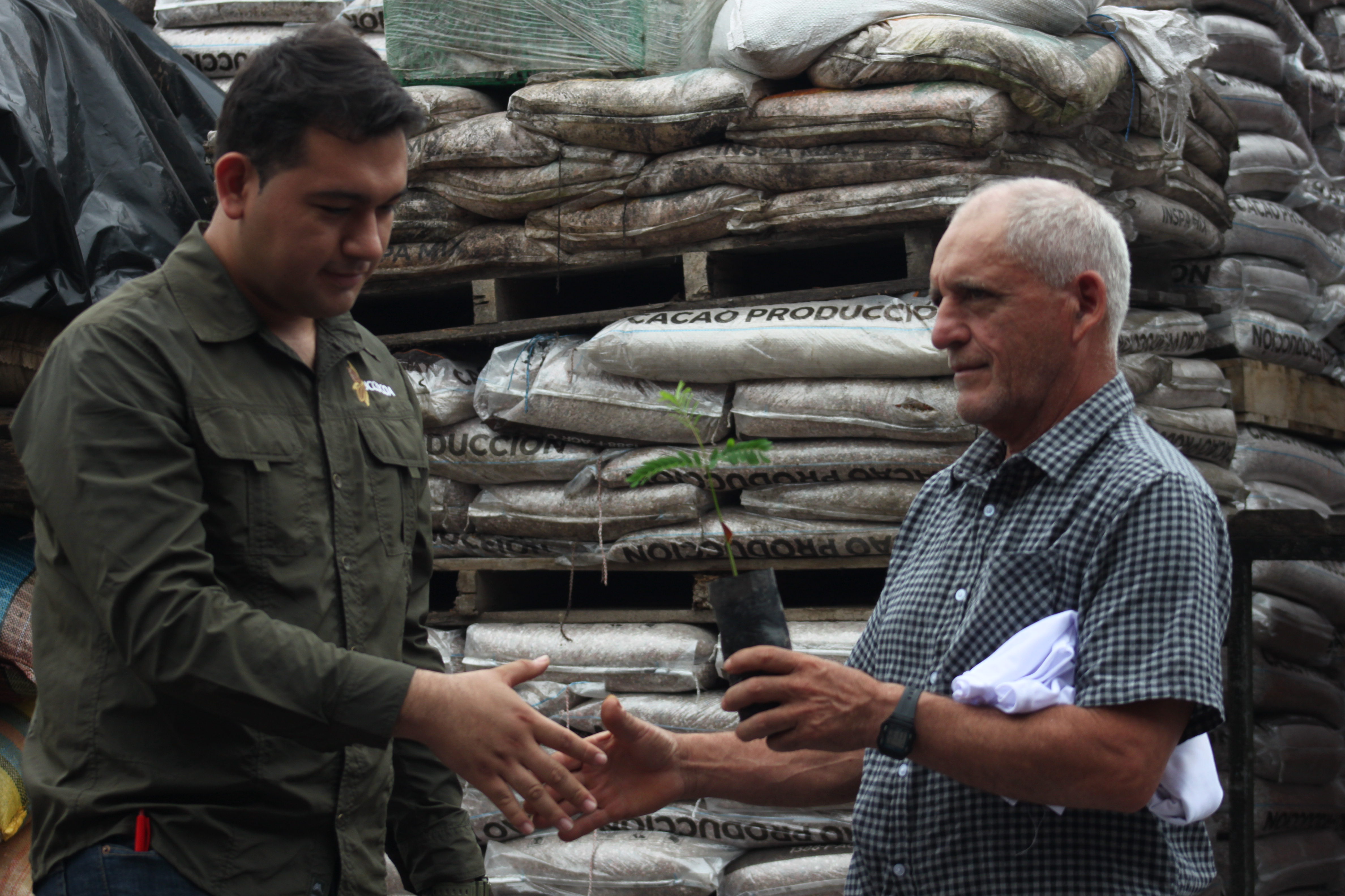 Exportación internacional